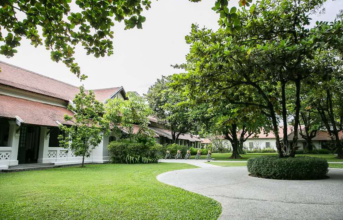 Luang Prabang:1 Hour Heritage Tour,snacks,drinks,pick-up