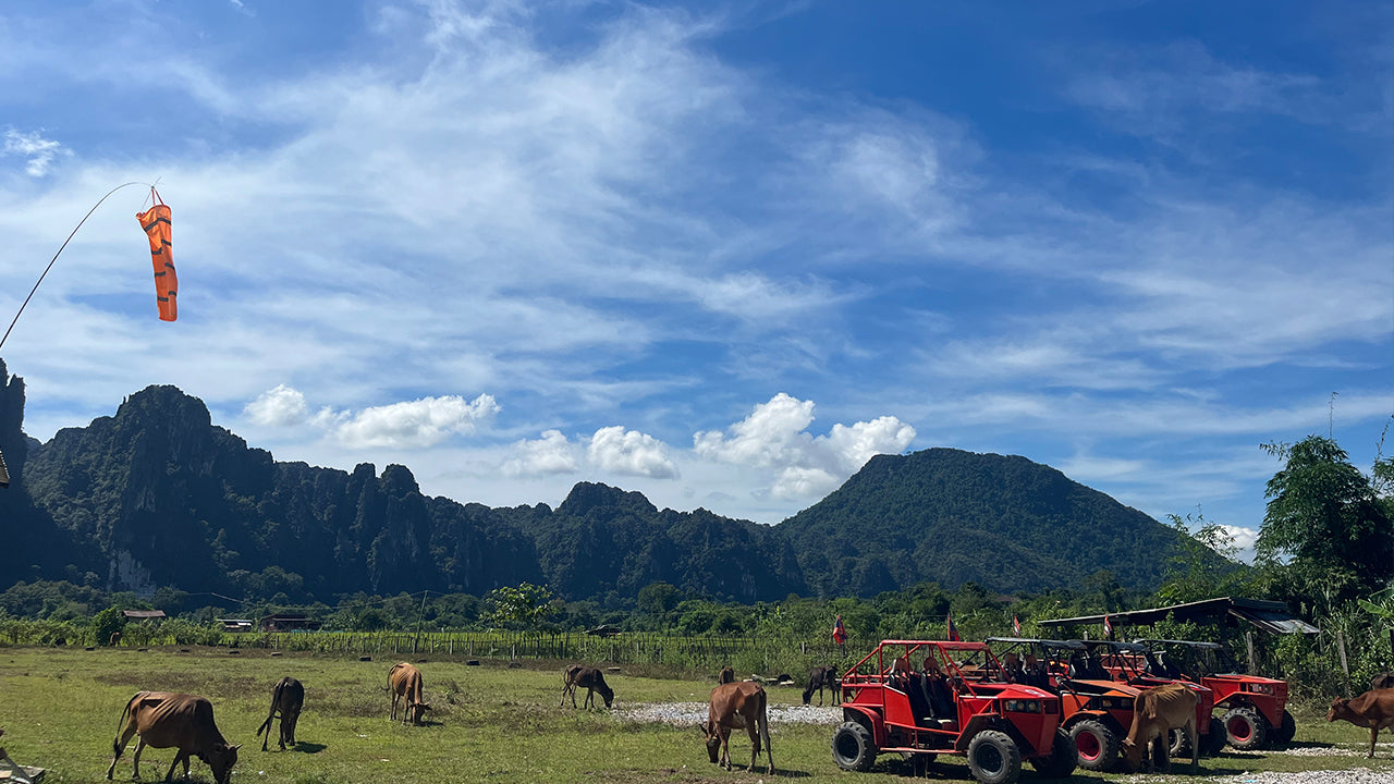 Vang Vieng: Paragliding and Go Karting Experience